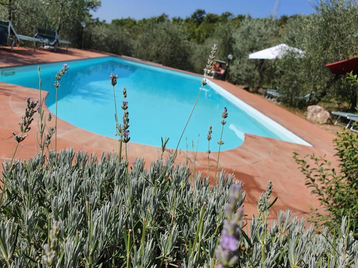 Agriturismo "Crocino In Chianti" Гайоле-ин-Кьянти Экстерьер фото