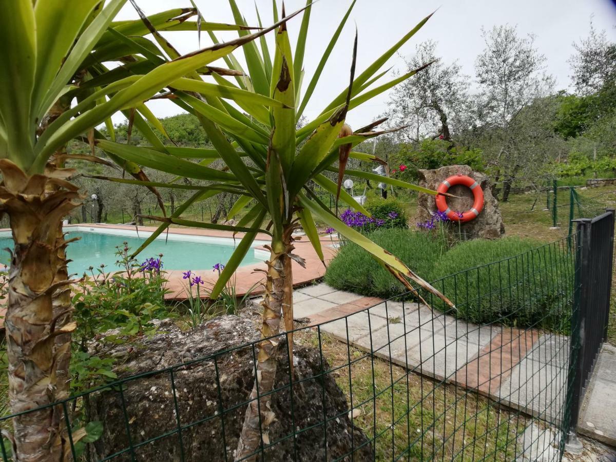 Agriturismo "Crocino In Chianti" Гайоле-ин-Кьянти Экстерьер фото