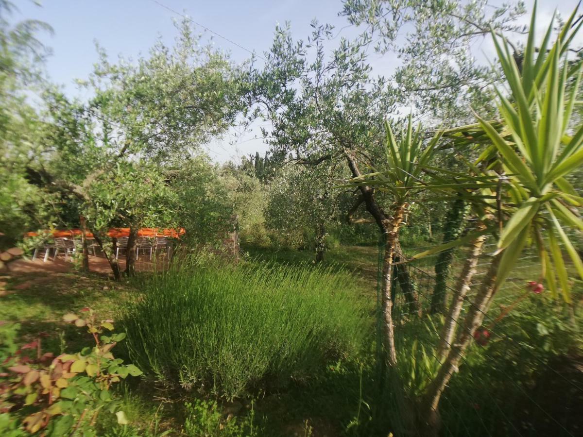 Agriturismo "Crocino In Chianti" Гайоле-ин-Кьянти Экстерьер фото